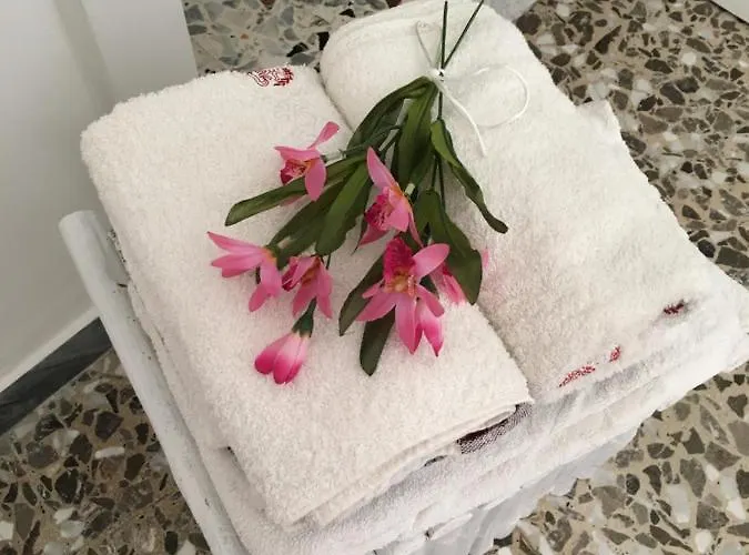 Casa Bettina 度假居